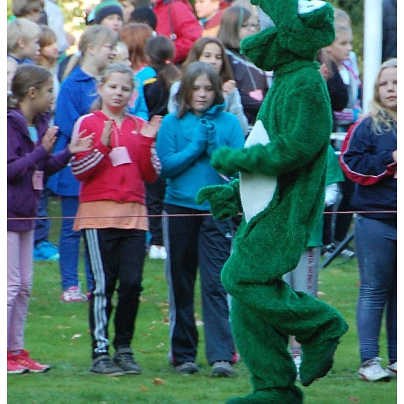 2013_Waldlauf_Imp
