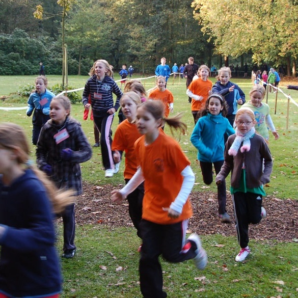 2011_Waldlauf_imp