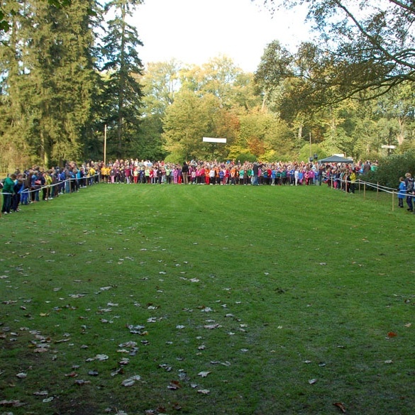 2011_Waldlauf_imp