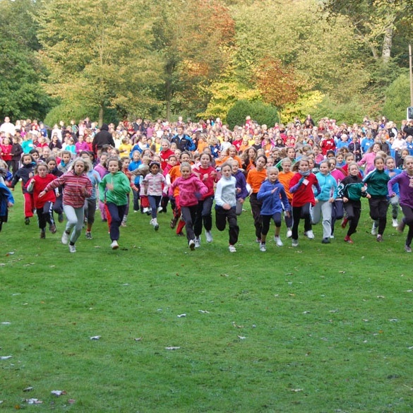 2011_Waldlauf_imp