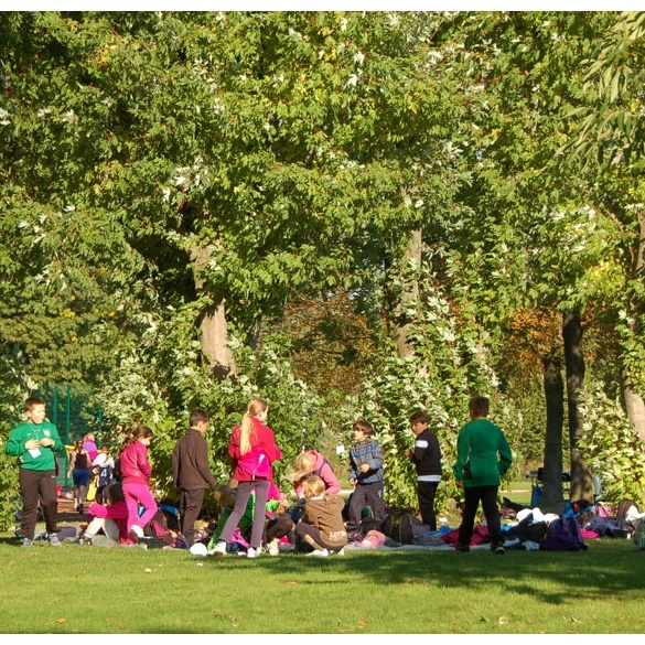 2013_Waldlauf_Imp