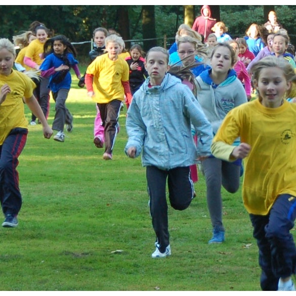 2013_Waldlauf_Imp