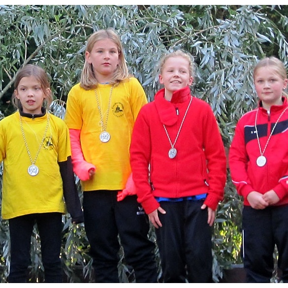 2013_Waldlauf_M