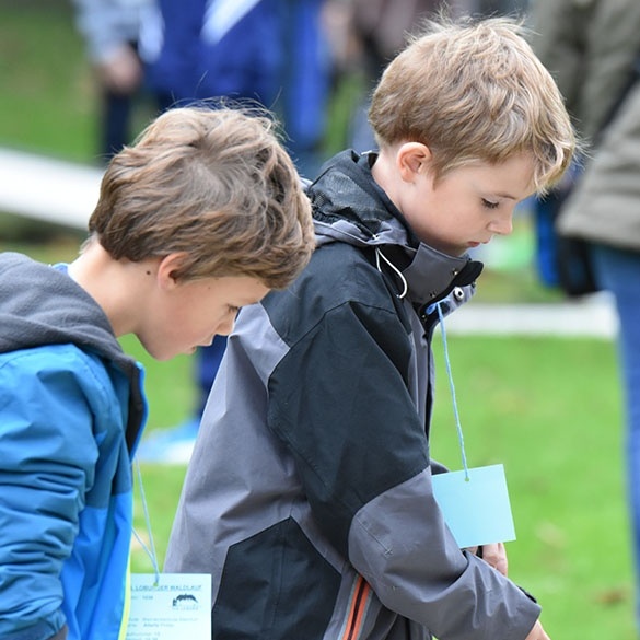 2017_Waldlauf