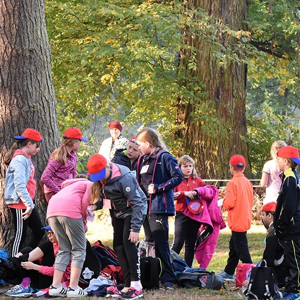 2018_Waldlauf