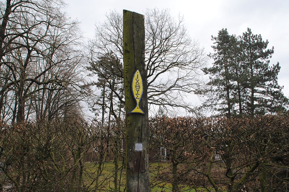 Fisch_01