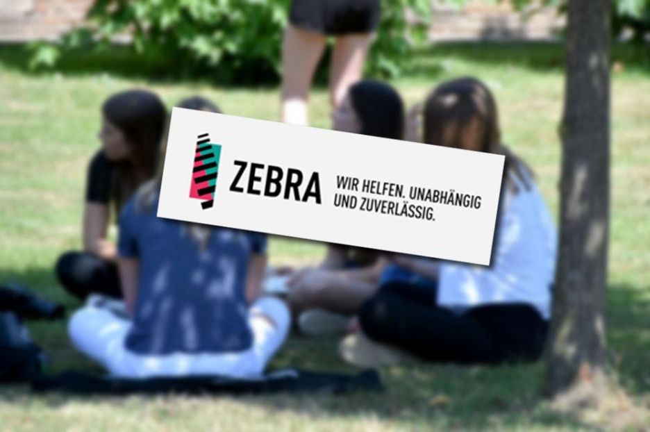 Zebra_2022