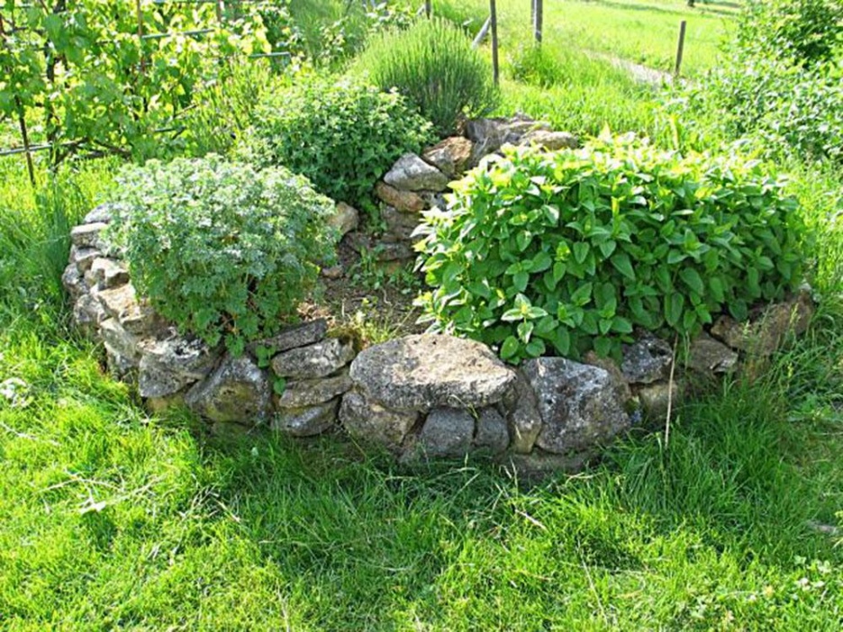 Schulgarten2
