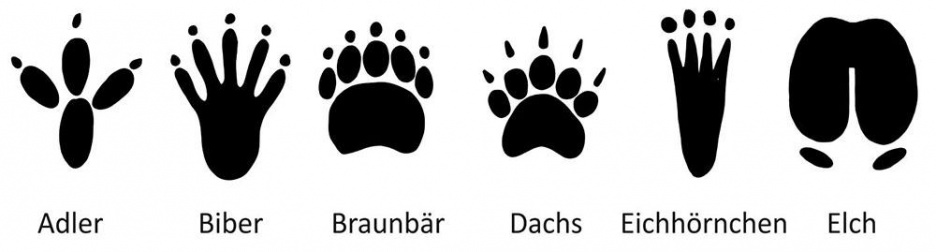 Fussspuren_01